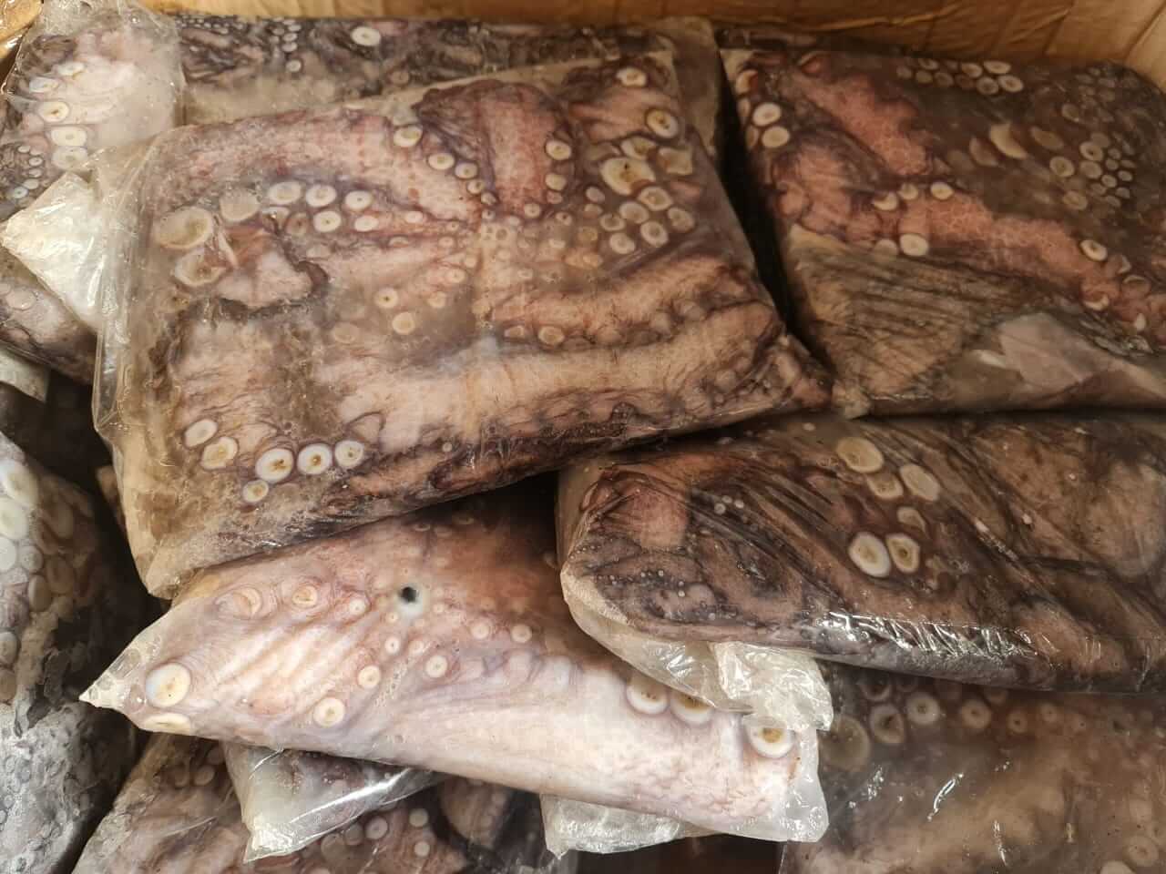 Pulpo del norte IQF (Calibrado) 20 kg